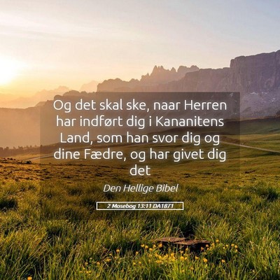 Picture 05 - 2 Mosebog 13:11 DA1871 - Og det skal ske, naar Herren har indført dig i - Bible Verse Picture