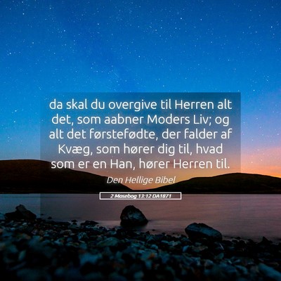 Picture 05 - 2 Mosebog 13:12 DA1871 - da skal du overgive til Herren alt det, som - Bible Verse Picture