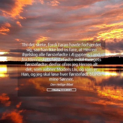 Picture 05 - 2 Mosebog 13:15 DA1871 - Thi det skete, fordi Farao havde forhærdet sig, - Bible Verse Picture