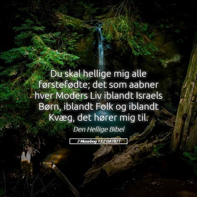 Picture 05 - 2 Mosebog 13:2 DA1871 - Du skal hellige mig alle førstefødte; det som - Bible Verse Picture