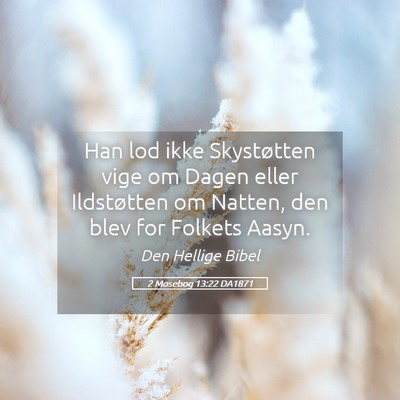 Picture 05 - 2 Mosebog 13:22 DA1871 - Han lod ikke Skystøtten vige om Dagen eller - Bible Verse Picture