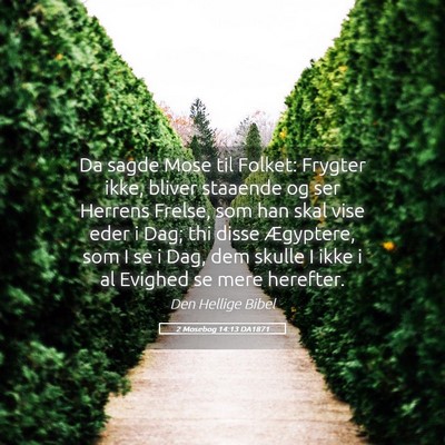Picture 05 - 2 Mosebog 14:13 DA1871 - Da sagde Mose til Folket: Frygter ikke, bliver - Bible Verse Picture