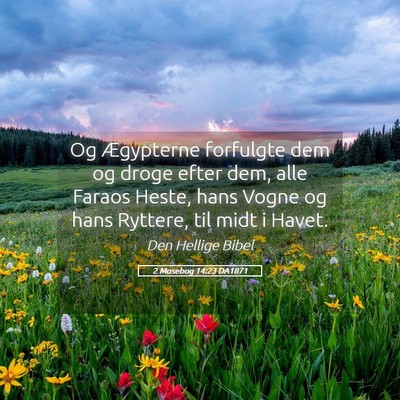 Picture 05 - 2 Mosebog 14:23 DA1871 - Og Ægypterne forfulgte dem og droge efter dem, - Bible Verse Picture
