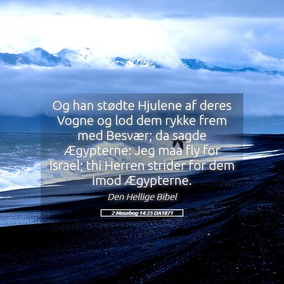 Picture 05 - 2 Mosebog 14:25 DA1871 - Og han stødte Hjulene af deres Vogne og lod dem - Bible Verse Picture