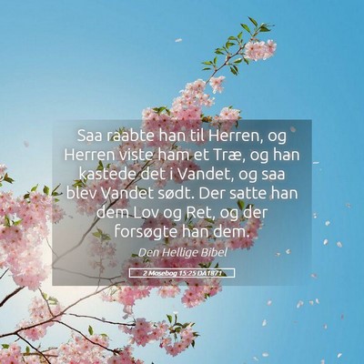 Picture 05 - 2 Mosebog 15:25 DA1871 - Saa raabte han til Herren, og Herren viste ham et - Bible Verse Picture