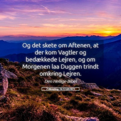 Picture 05 - 2 Mosebog 16:13 DA1871 - Og det skete om Aftenen, at der kom Vagtler og - Bible Verse Picture