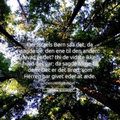 Picture 05 - 2 Mosebog 16:15 DA1871 - Der Israels Børn saa det, da sagde de, den ene - Bible Verse Picture