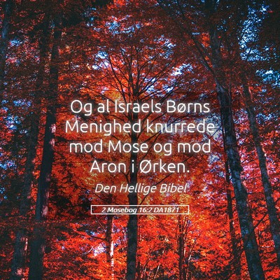 Picture 05 - 2 Mosebog 16:2 DA1871 - Og al Israels Børns Menighed knurrede mod Mose - Bible Verse Picture