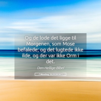 Picture 05 - 2 Mosebog 16:24 DA1871 - Og de lode det ligge til Morgenen, som Mose - Bible Verse Picture