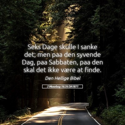 Picture 05 - 2 Mosebog 16:26 DA1871 - Seks Dage skulle I sanke det; men paa den syvende - Bible Verse Picture
