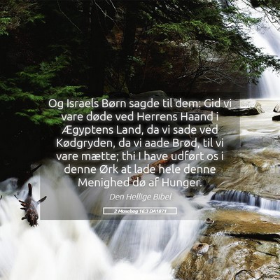 Picture 05 - 2 Mosebog 16:3 DA1871 - Og Israels Børn sagde til dem: Gid vi vare døde - Bible Verse Picture