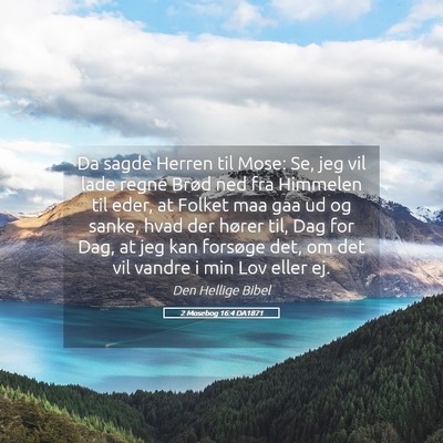 Picture 05 - 2 Mosebog 16:4 DA1871 - Da sagde Herren til Mose: Se, jeg vil lade regne - Bible Verse Picture