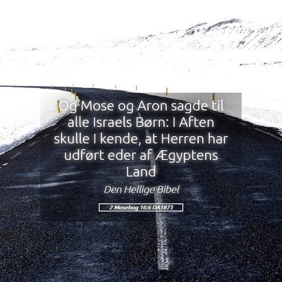 Picture 05 - 2 Mosebog 16:6 DA1871 - Og Mose og Aron sagde til alle Israels Børn: I - Bible Verse Picture