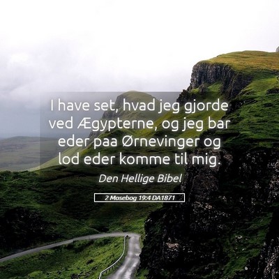 Picture 05 - 2 Mosebog 19:4 DA1871 - I have set, hvad jeg gjorde ved Ægypterne, og - Bible Verse Picture