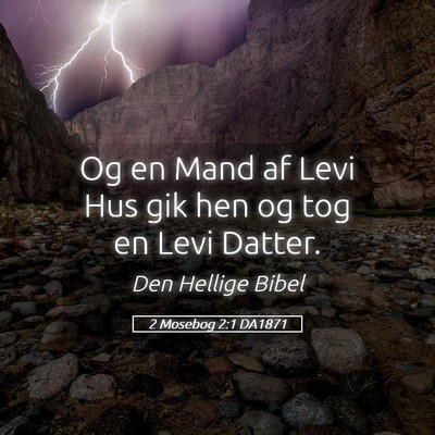 Picture 05 - 2 Mosebog 2:1 DA1871 - Og en Mand af Levi Hus gik hen og tog en Levi - Bible Verse Picture