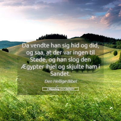 Picture 05 - 2 Mosebog 2:12 DA1871 - Da vendte han sig hid og did, og saa, at der var - Bible Verse Picture