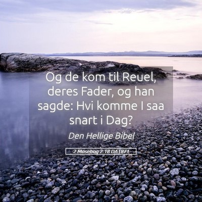 Picture 05 - 2 Mosebog 2:18 DA1871 - Og de kom til Reuel, deres Fader, og han sagde: - Bible Verse Picture