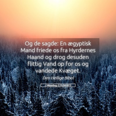 Picture 05 - 2 Mosebog 2:19 DA1871 - Og de sagde: En ægyptisk Mand friede os fra - Bible Verse Picture