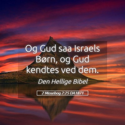 Picture 05 - 2 Mosebog 2:25 DA1871 - Og Gud saa Israels Børn, og Gud kendtes ved - Bible Verse Picture