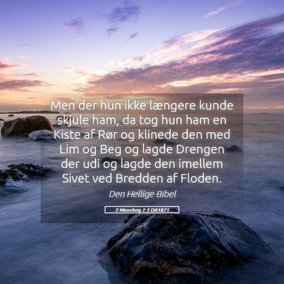 Picture 05 - 2 Mosebog 2:3 DA1871 - Men der hun ikke længere kunde skjule ham, da - Bible Verse Picture