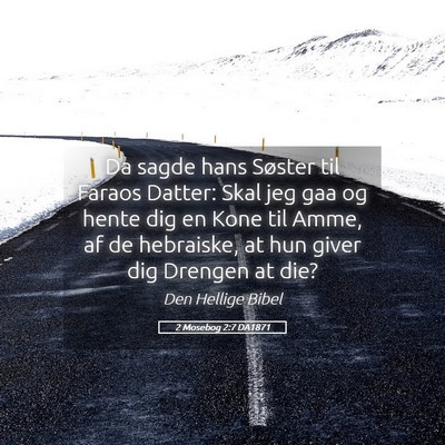 Picture 05 - 2 Mosebog 2:7 DA1871 - Da sagde hans Søster til Faraos Datter: Skal jeg - Bible Verse Picture