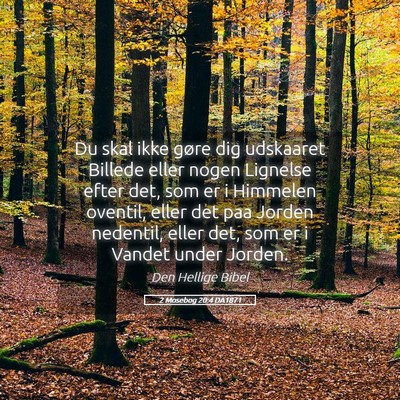 Picture 05 - 2 Mosebog 20:4 DA1871 - Du skal ikke gøre dig udskaaret Billede eller - Bible Verse Picture