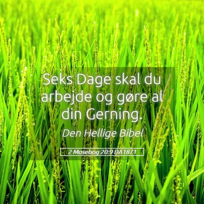 Picture 05 - 2 Mosebog 20:9 DA1871 - Seks Dage skal du arbejde og gøre al din - Bible Verse Picture