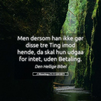 Picture 05 - 2 Mosebog 21:11 DA1871 - Men dersom han ikke gør disse tre Ting imod - Bible Verse Picture