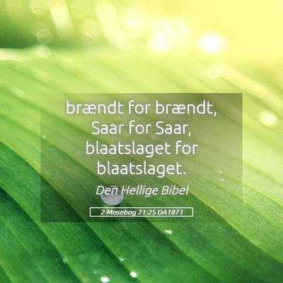 Picture 05 - 2 Mosebog 21:25 DA1871 - brændt for brændt, Saar for Saar, blaatslaget - Bible Verse Picture
