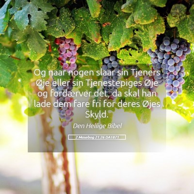 Picture 05 - 2 Mosebog 21:26 DA1871 - Og naar nogen slaar sin Tjeners Øje eller sin - Bible Verse Picture