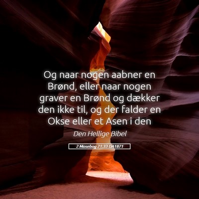 Picture 05 - 2 Mosebog 21:33 DA1871 - Og naar nogen aabner en Brønd, eller naar nogen - Bible Verse Picture