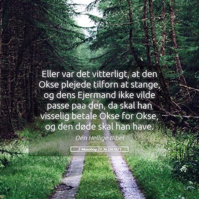 Picture 05 - 2 Mosebog 21:36 DA1871 - Eller var det vitterligt, at den Okse plejede - Bible Verse Picture