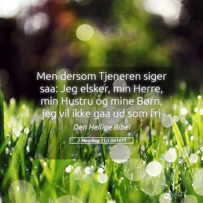 Picture 05 - 2 Mosebog 21:5 DA1871 - Men dersom Tjeneren siger saa: Jeg elsker, min - Bible Verse Picture