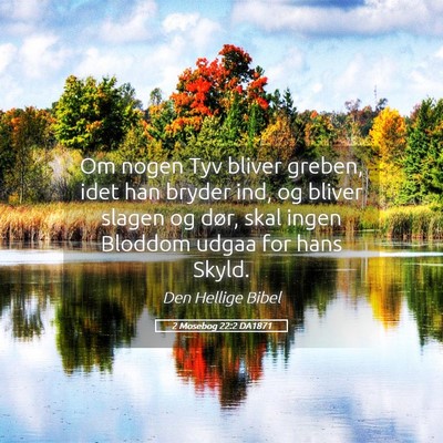 Picture 05 - 2 Mosebog 22:2 DA1871 - Om nogen Tyv bliver greben, idet han bryder ind, - Bible Verse Picture