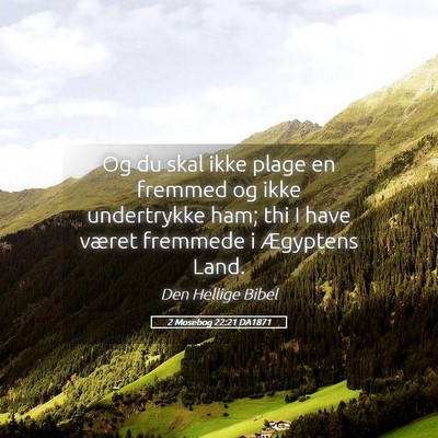 Picture 05 - 2 Mosebog 22:21 DA1871 - Og du skal ikke plage en fremmed og ikke - Bible Verse Picture