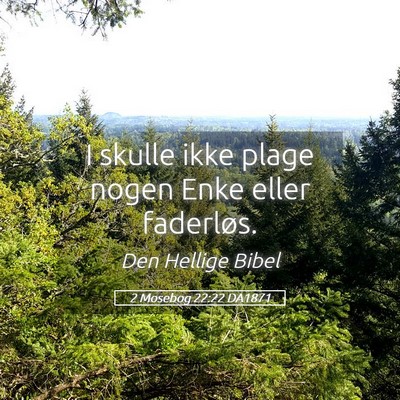 Picture 05 - 2 Mosebog 22:22 DA1871 - I skulle ikke plage nogen Enke eller - Bible Verse Picture