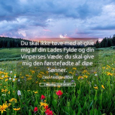 Picture 05 - 2 Mosebog 22:29 DA1871 - Du skal ikke tøve med at give mig af din Lades - Bible Verse Picture