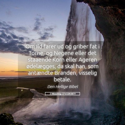 Picture 05 - 2 Mosebog 22:6 DA1871 - Om Ild farer ud og griber fat i Torne, og Negene - Bible Verse Picture