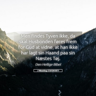 Picture 05 - 2 Mosebog 22:8 DA1871 - Men findes Tyven ikke, da skal Husbonden føres - Bible Verse Picture
