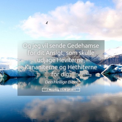 Picture 05 - 2 Mosebog 23:28 DA1871 - Og jeg vil sende Gedehamse for dit Ansigt, som - Bible Verse Picture