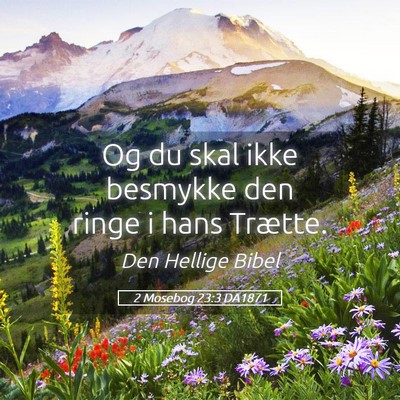Picture 05 - 2 Mosebog 23:3 DA1871 - Og du skal ikke besmykke den ringe i hans - Bible Verse Picture