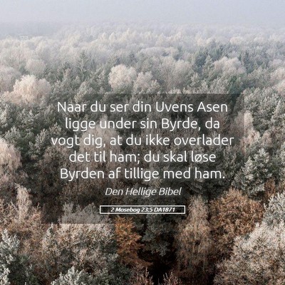 Picture 05 - 2 Mosebog 23:5 DA1871 - Naar du ser din Uvens Asen ligge under sin Byrde, - Bible Verse Picture