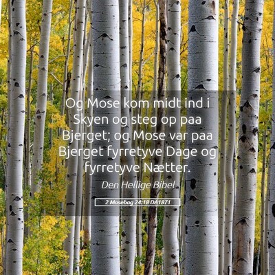 Picture 05 - 2 Mosebog 24:18 DA1871 - Og Mose kom midt ind i Skyen og steg op paa - Bible Verse Picture