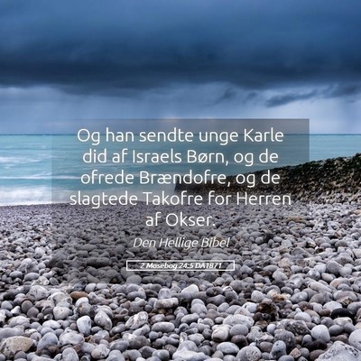 Picture 05 - 2 Mosebog 24:5 DA1871 - Og han sendte unge Karle did af Israels Børn, og - Bible Verse Picture