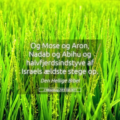 Picture 05 - 2 Mosebog 24:9 DA1871 - Og Mose og Aron, Nadab og Abihu og - Bible Verse Picture