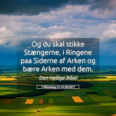 Picture 05 - 2 Mosebog 25:14 DA1871 - Og du skal stikke Stængerne, i Ringene paa - Bible Verse Picture
