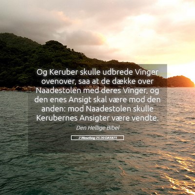 Picture 05 - 2 Mosebog 25:20 DA1871 - Og Keruber skulle udbrede Vinger ovenover, saa at - Bible Verse Picture