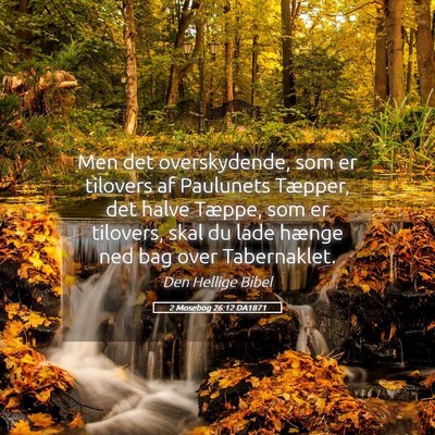 Picture 05 - 2 Mosebog 26:12 DA1871 - Men det overskydende, som er tilovers af - Bible Verse Picture