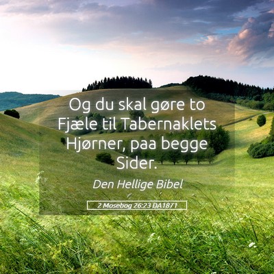 Picture 05 - 2 Mosebog 26:23 DA1871 - Og du skal gøre to Fjæle til Tabernaklets - Bible Verse Picture