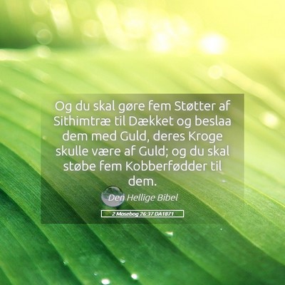 Picture 05 - 2 Mosebog 26:37 DA1871 - Og du skal gøre fem Støtter af Sithimtræ til - Bible Verse Picture